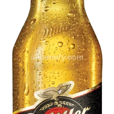 Miller 33 CL
